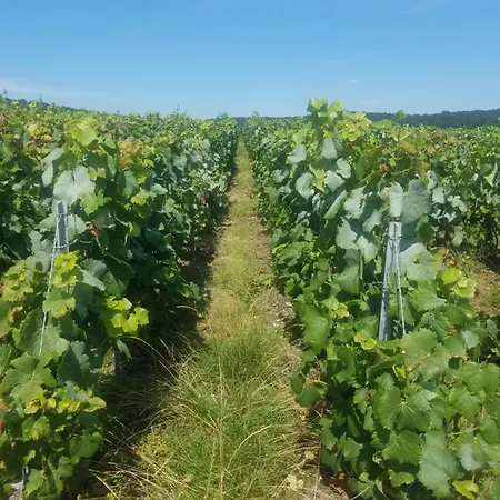 Le Percheron Ferienhaus *